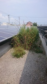 20180725-4
