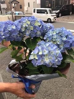 20190607-1