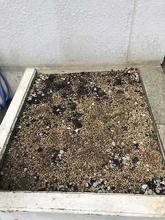 20190607-2
